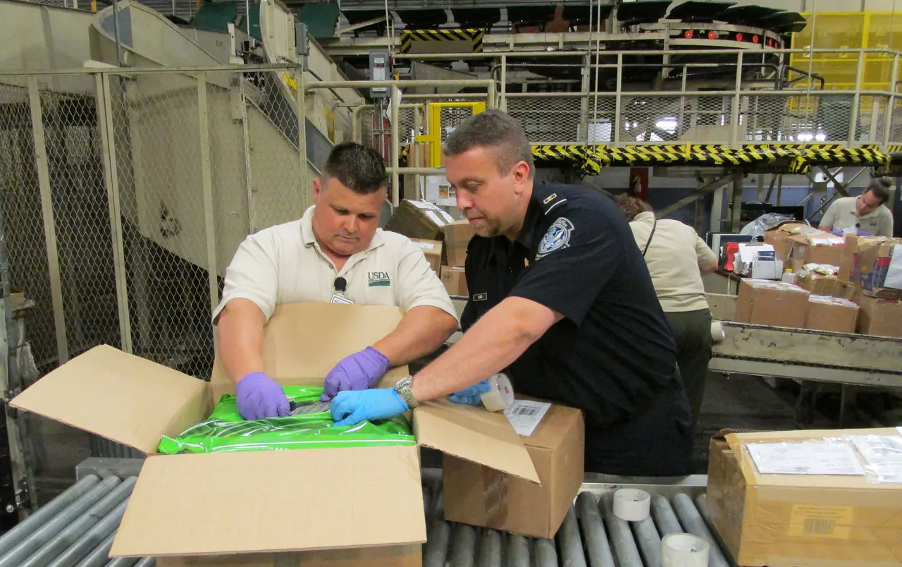 A U.S. Customs and Border Protection (CBP) agriculture specialist, with assistance from SITC, inspects a parcel arriving in the United States at an international mail processing facility. (USDA, Erich Glasgow)